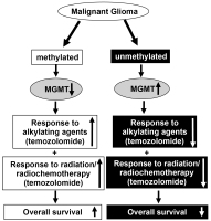 Figure 1: MGMT