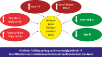 Abbildung 1: Dyslipoproteinmie