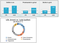 Abbildung 1: LDL - Lp(a)