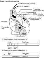 Figure 1: Magnesium - intrakoronar - intravens