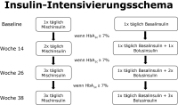 Abbildung 1: Insulin-Intensivierungsschema