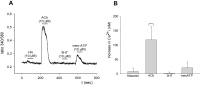 Abbildung 1: Intracellular Calcium