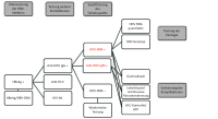 Abbildung 2: Diagnoseschema