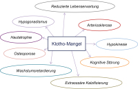 Abbildung 1: Klotho-Mangel