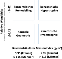 Abbildung 3: Linksventrikulre Geometrie