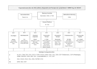 Abbildung 1: Organisationsstruktur