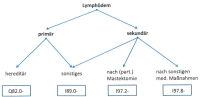 Abbildung 2: ICD10-Kodierung des Lymphdems