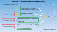 Abbildung 4: Therapiealgorithmus