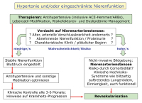 Abbildung 2: Renovaskulre Hypertonie