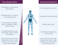 Abbildung 1: ATTR-PN