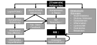 Abbildung 2: Pathogenetische Mechanismen