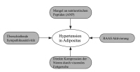 Abbildung 4: Hypertonie bei Adipositas