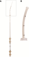 Abbildung 1: Produkt: Embryo-Transfer-Katheter<br> Vertrieb: Labotect GmbH