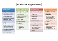 Abbildung 1: Ersteinschtzung Schwindel