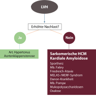 Abbildung 1: Kardiomyopathie