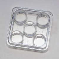Abbildung 1: Produkt: Minitb 5-Well Schale<br>Vertrieb: Minitb GmbH 