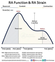 Abbildung 1: RA-Funktion - RA-Strain