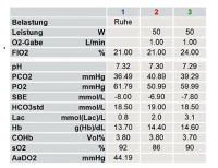 Abbildung 2: Blutgasanalyse