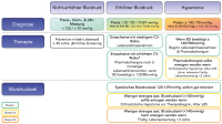 Abbildung 1: Diagnostische und therapeutische Algorithmen - ESC-Guidelines 2024