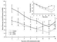 Figure 2: Adrenomedullin - Blutdruck