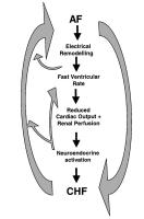 Figure 1: Vorhofflimmern - Herzinsuffizienz