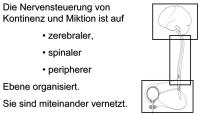Abbildung 1: Blasenfunktionsstrung