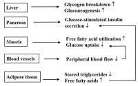 Figure 4: SNS-beraktivitt - Metabolismus