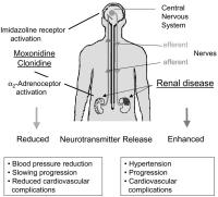 Figure 2: SNS-beraktivitt - Niereninsuffizienz