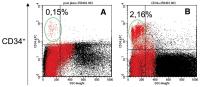 Abbildung 3A-B: Endotheliale Progenitorzellen - CD34+