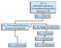Abbildung 1: Geburtsterminberschreitung
