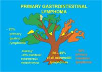 Abbildung 1: Primres gastrointestinales Lymphom