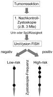 Abbildung 3: UroVysion-Test