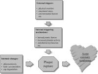 Figure 1: Auslser fr akute Koronarsyndrome