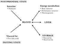 Figure 1: Nahrung - Metabolismus