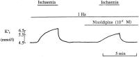 Figure 1: Kalium - Ischmie