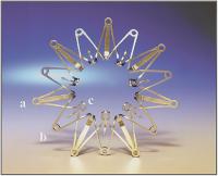 Abbildung 1: Anastomosendevices
