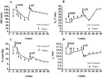 Figure 6A-D: Doxorubicin - Angiotensin-II-Modulation