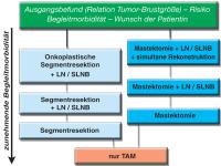 Abbildung 2: Mammakarzinom - Operative Therapieoptionen