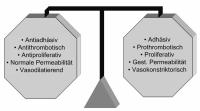 Abbildung 1: Normale Endothelfunktion