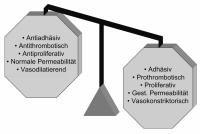 Abbildung 2: Endotheldysfunktion