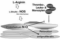Abbildung 3: NO-Synthese