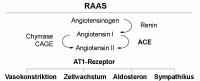 Abbildung 1: Renin-Angiotensin-Aldosteron-System