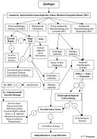 Abbildung 5: Effiziente Synkopenabklrung