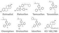 Abbildung 1: Chemische Struktur - Estradiol - SERMS
