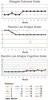 Abbildung 2: Apallisches Syndrom - Scores