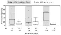 Abbildung 2: Homocysteinkonzentration - Nierenpatienten