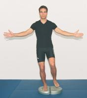 Abbildung 1-3: aerostep(R)