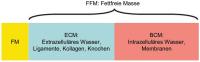 Abbildung 1: Krper - fettfreie Masse