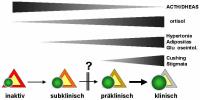 Abbildung 3: Cushing-Syndrom