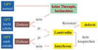 Abbildung 4: Hepatitis B - Therapie